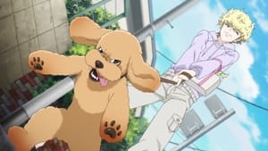 Nonton Film Dog Signal Season 1 Episode 1 Terbaru