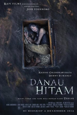 Nonton Film Danau Hitam (2014) Terbaru Nonton Film Danau Hitam (2014) Terbaru