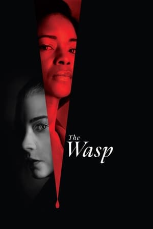 Nonton Film The Wasp (2024) Terbaru Nonton Film The Wasp (2024) Terbaru